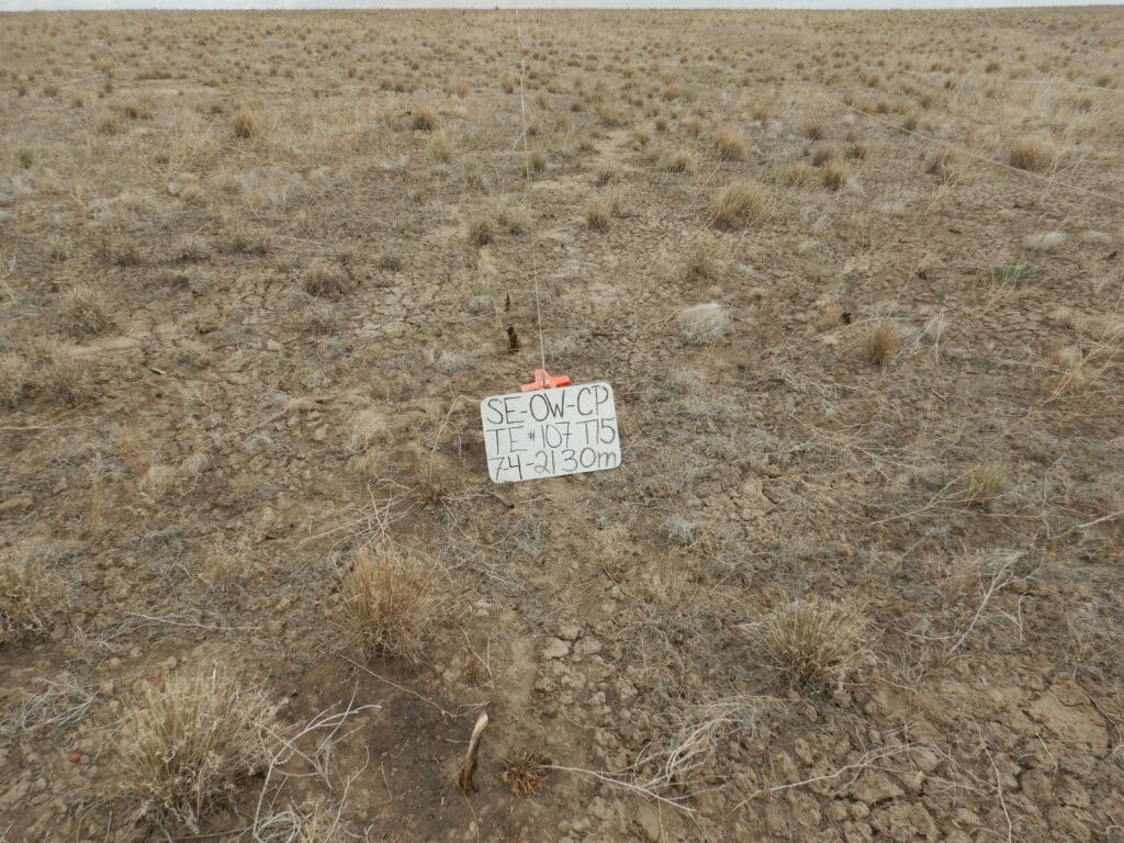 2021: 13 years post-treatment <br />
3 years post-wildfire