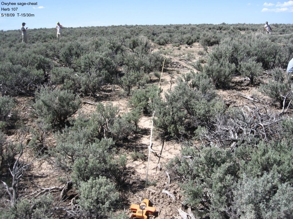 2009: 1 year post-treatment