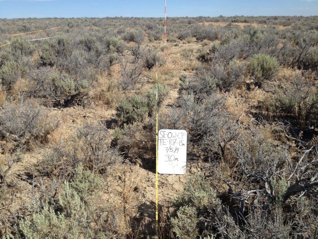 2014: 6 years post-treatment