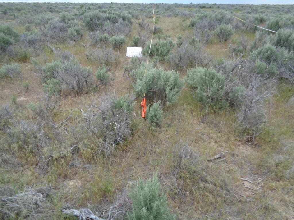 2017: 9 years post-treatment