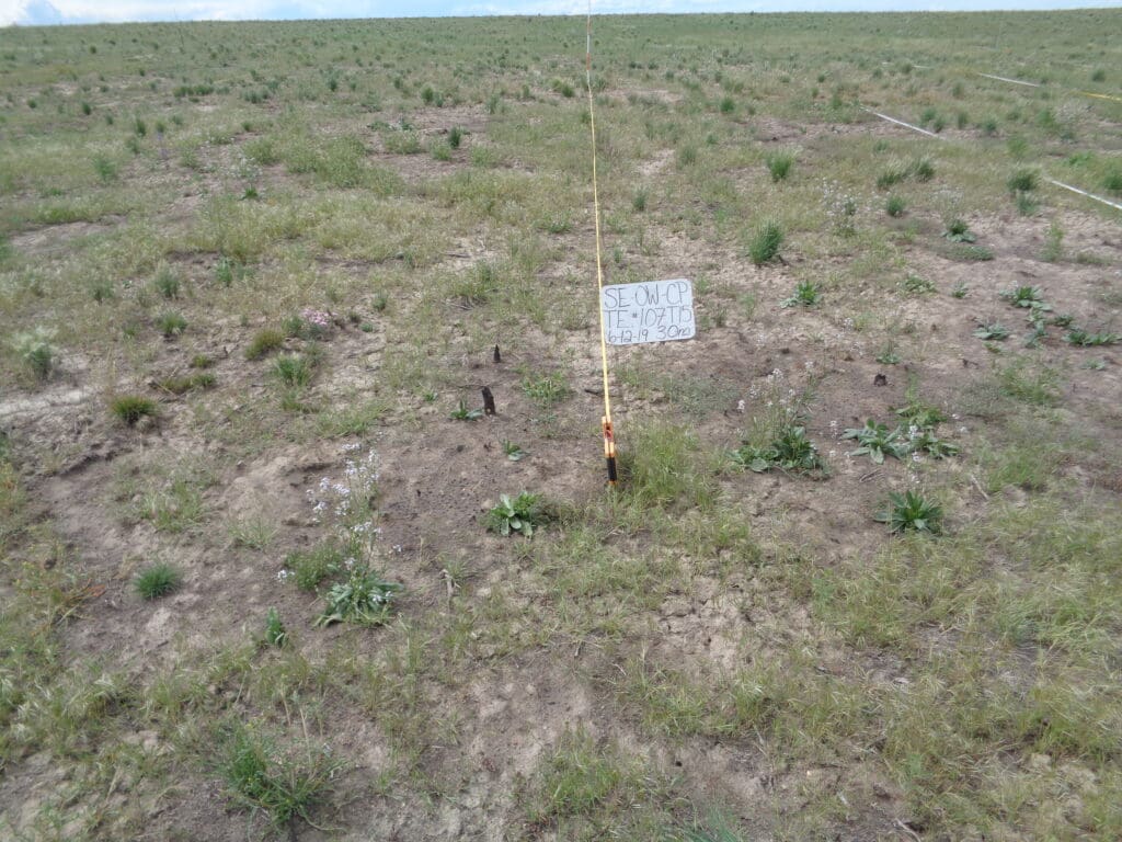 2019: 11 years post-treatment <br />
1 year post-wildfire