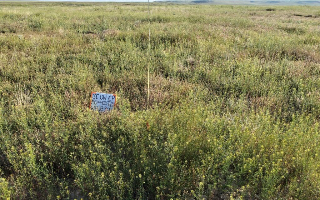 2023: 15 years post-treatment <br />
5 years post-wildfire