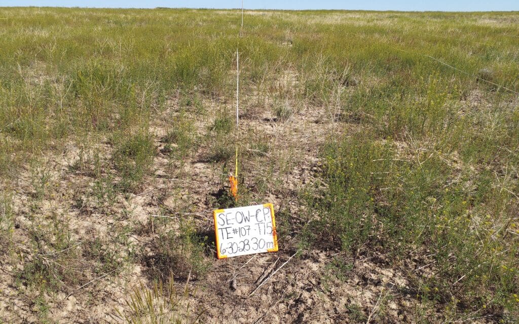 2023: 15 years post-treatment <br />
5 years post-wildfire