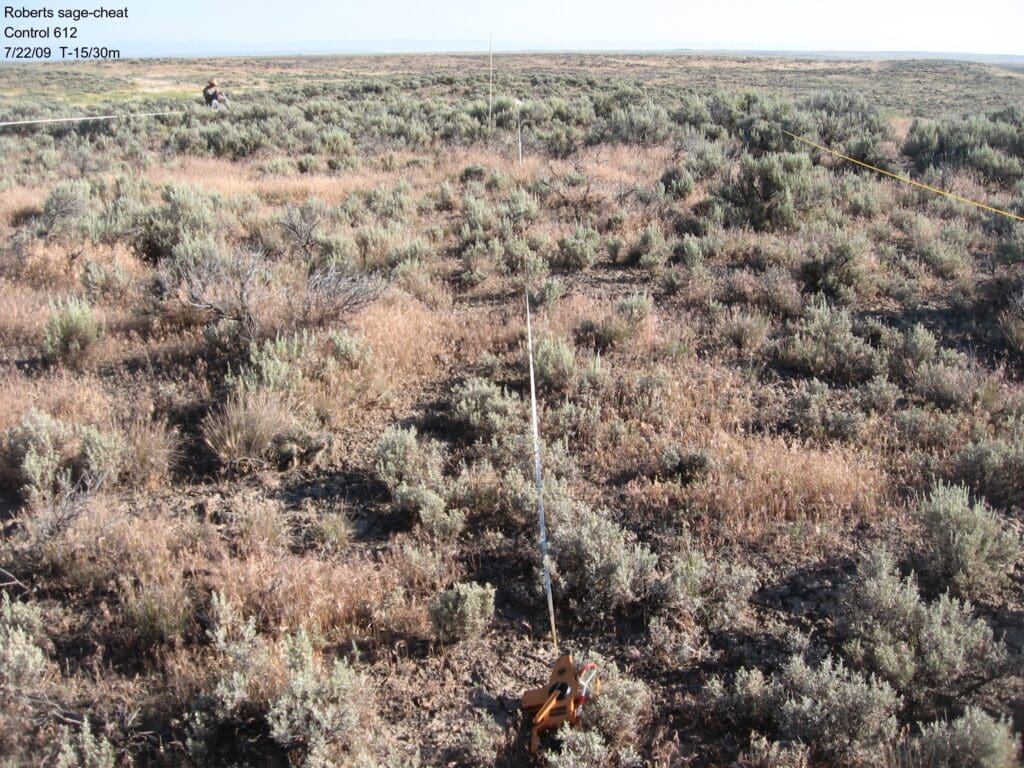 2009: 2 years post-treatment