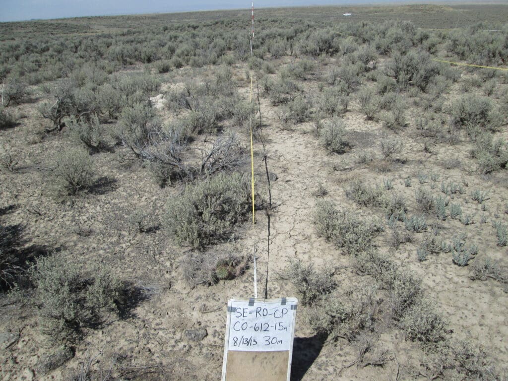 2013: 6 years post-treatment