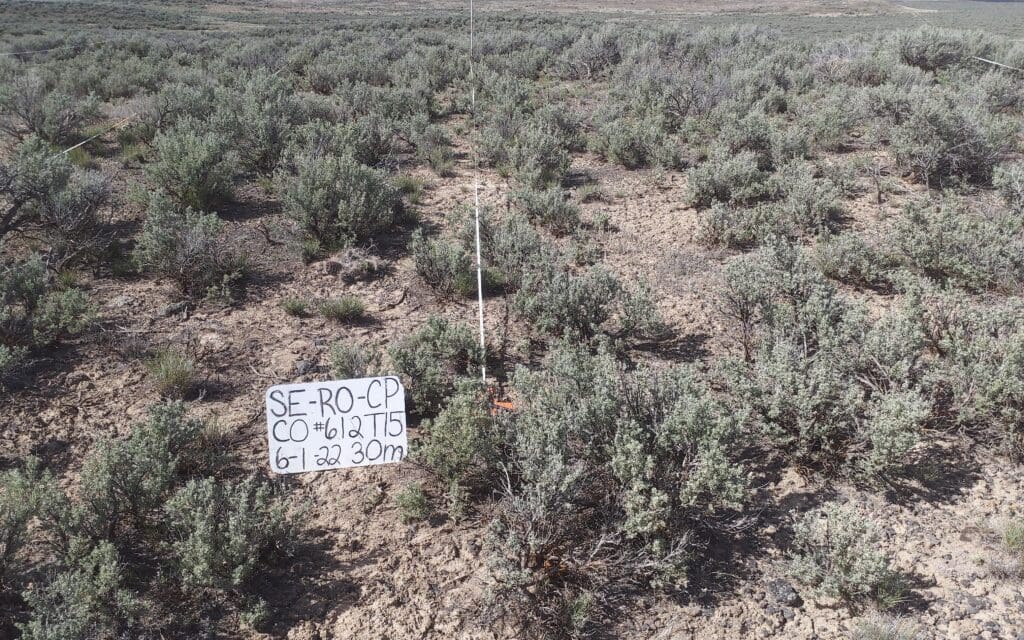 2022: 15 years post-treatment