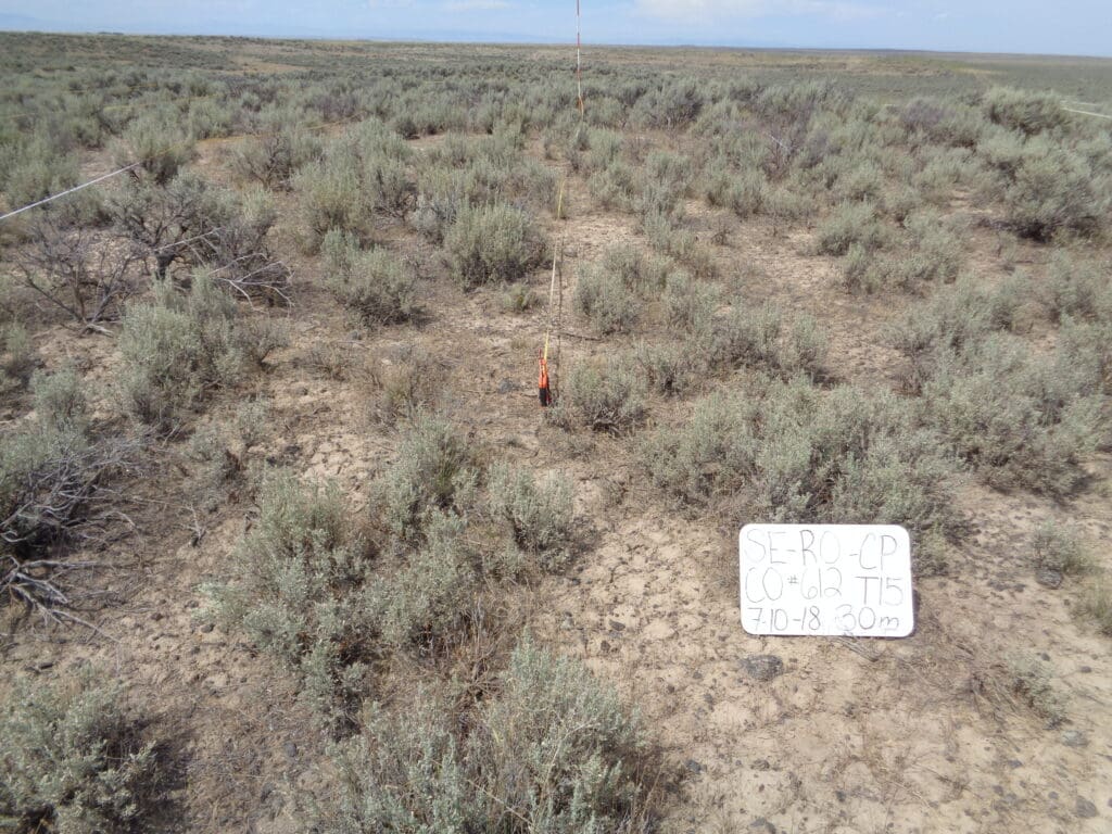 2018: 11 years post-treatment