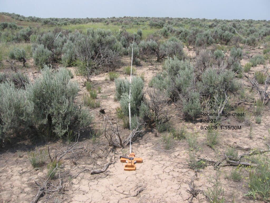 2008: 1 year post-treatment