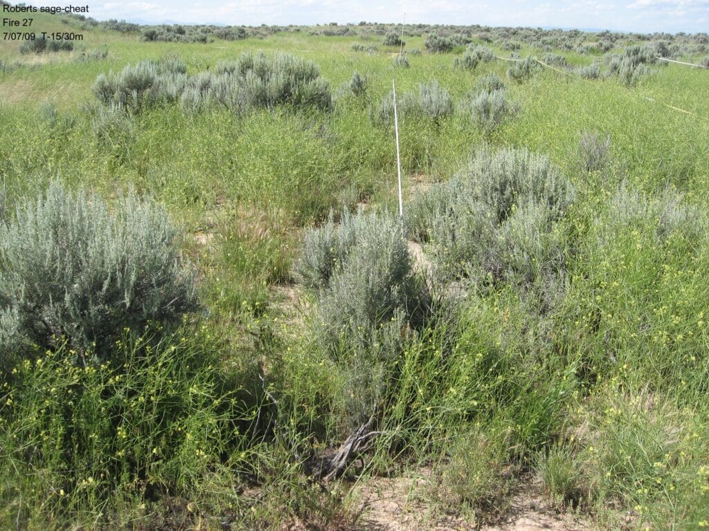 2009: 2 years post-treatment