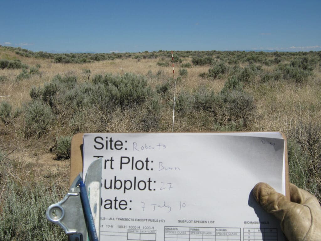 2010: 3 years post-treatment