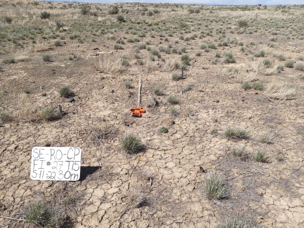 2022: 15 years post-wildfire <br />
12 years post-wildfire