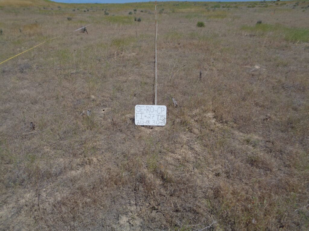 2018: 11 years post-wildfire <br />
8 years post-wildfire