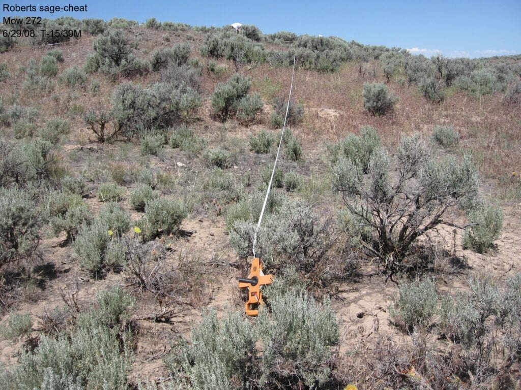 2008: 1 year post-treatment