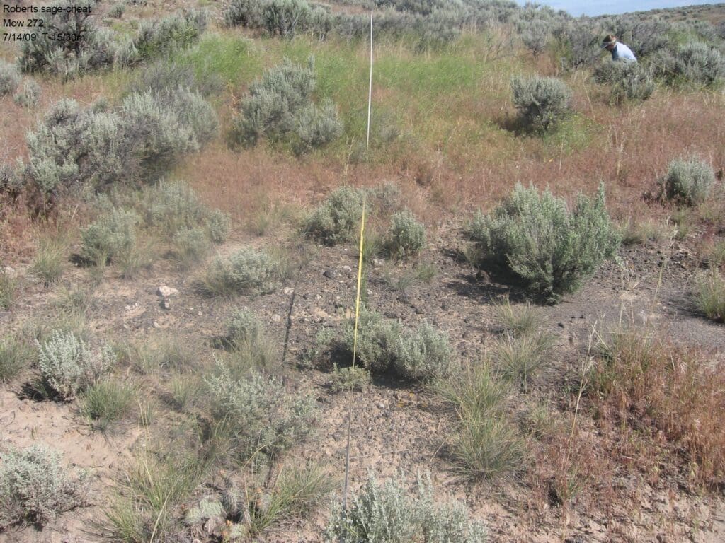 2009: 2 years post-treatment