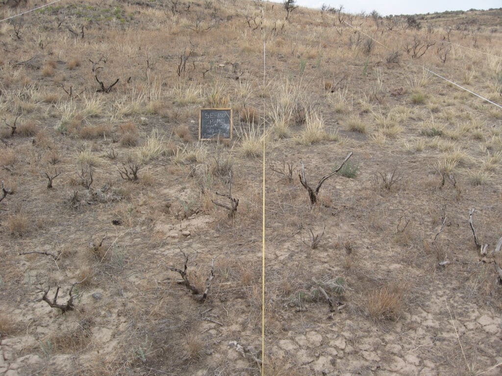 2013: 6 years post-treatment<br />
3 years post-wildfire