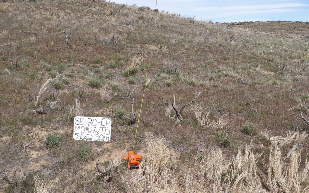 2022: 15 years post-treatment<br />
12 years post-wildfire