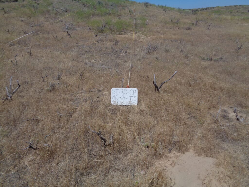 2018: 11 years post-treatment<br />
8 years post-wildfire