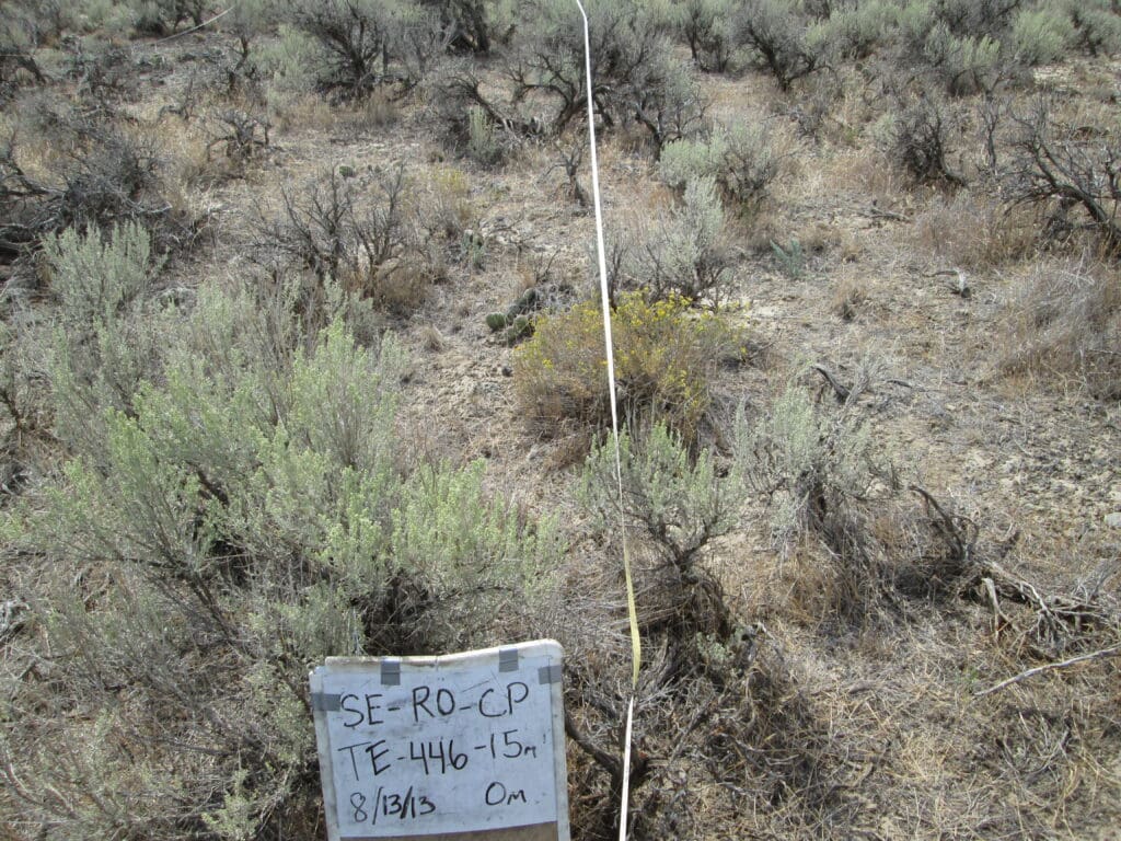 2013: 6 years post-treatment <br />
3 years post-wildfire