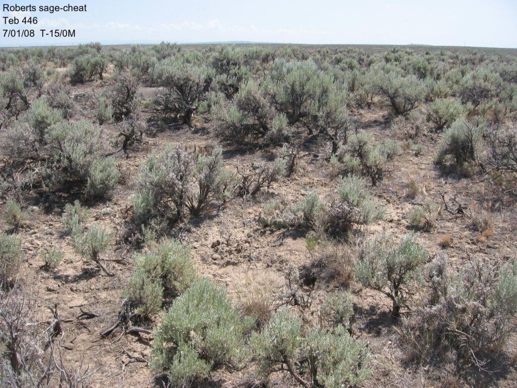 2008: 1 year post-treatment