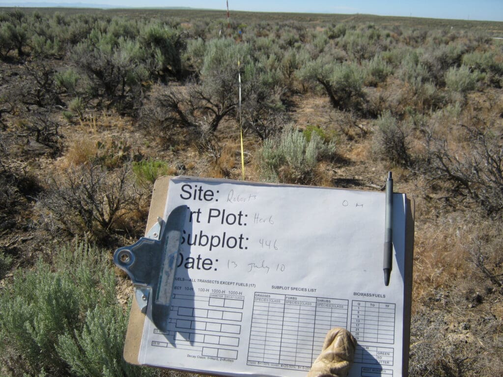 2010: 3 years post-treatment