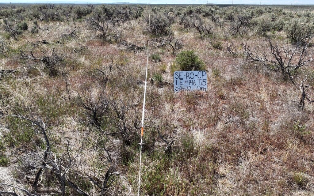 2022: 15 years post-treatment <br />
12 years post-wildfire