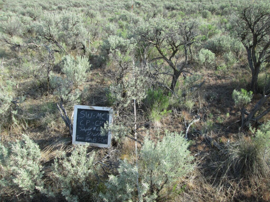 2018: 10 years post-treatment