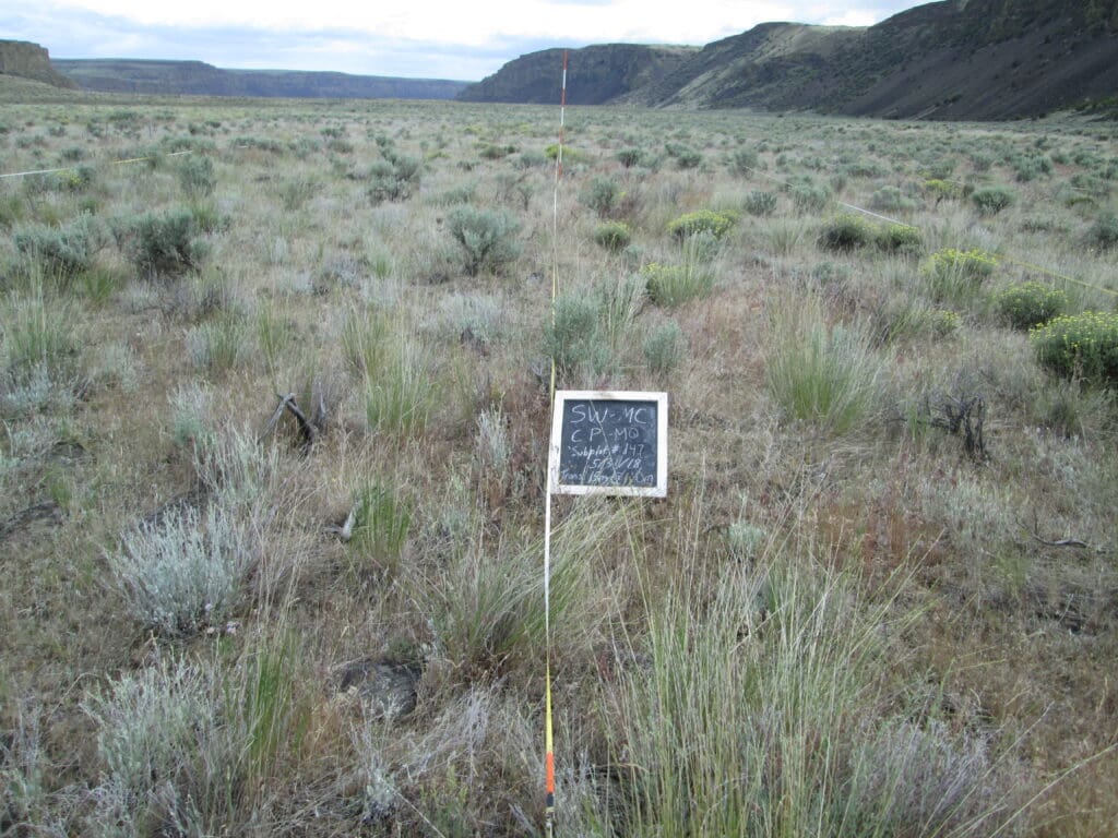 2018: 10 years post-treatment