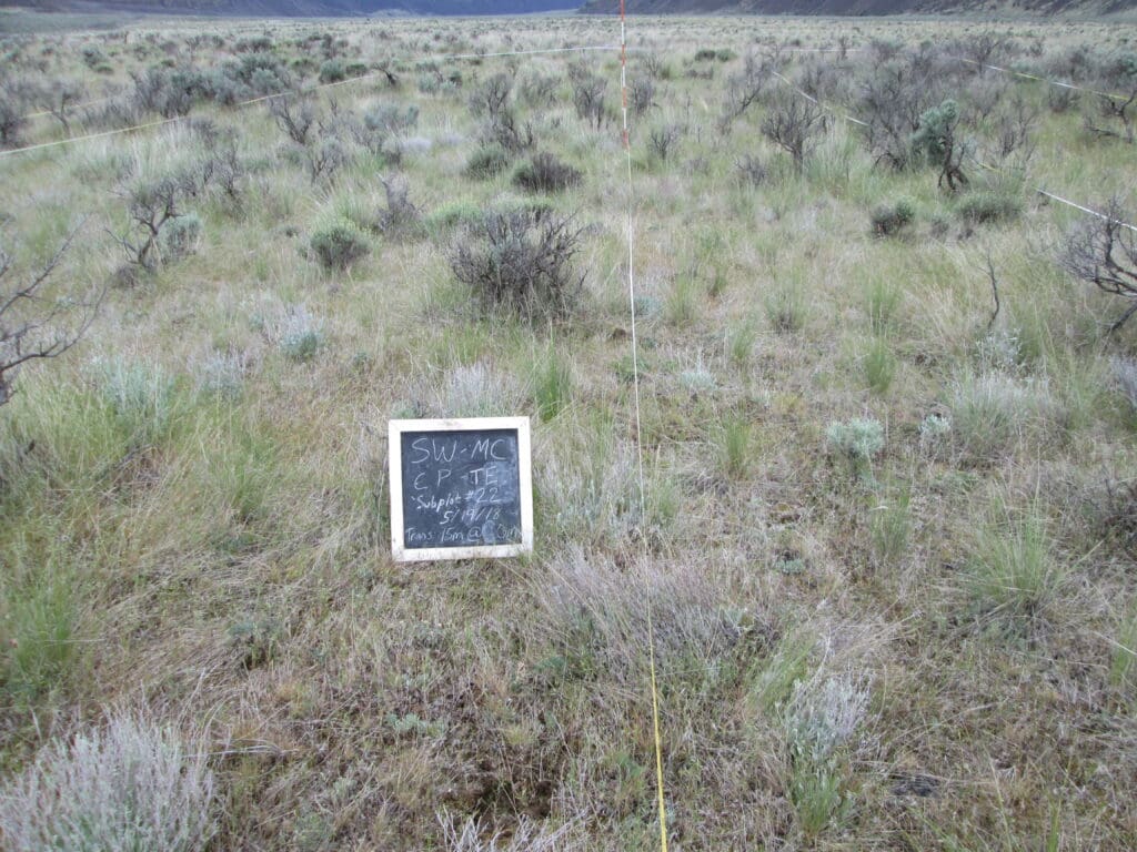 2018: 10 years post-treatment