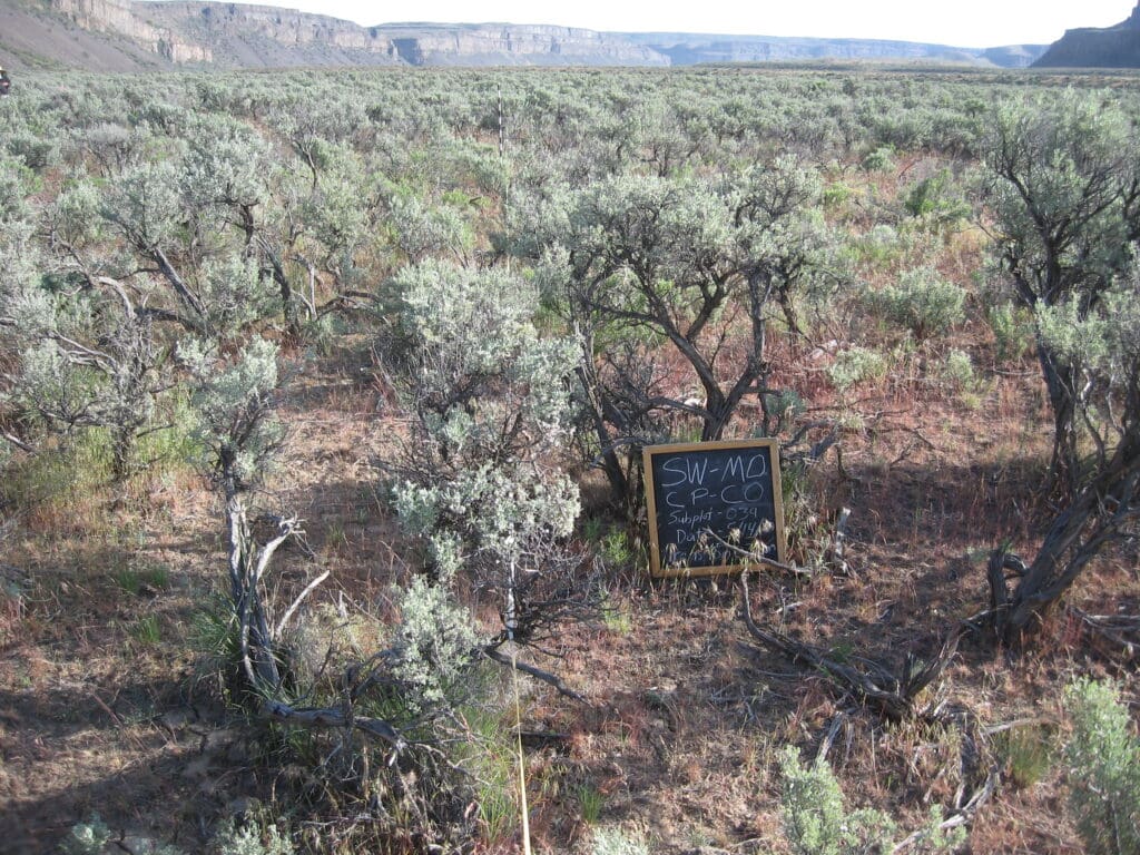 2010: 2 years post-treatment 