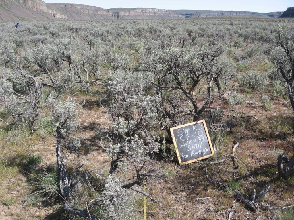 2011: 3 years post-treatment