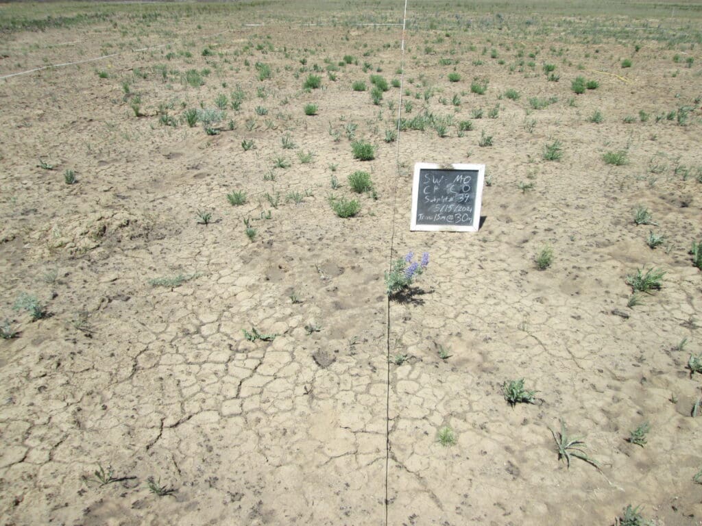 2021: 13 years post-treatment <br />
1 year post-wildfire