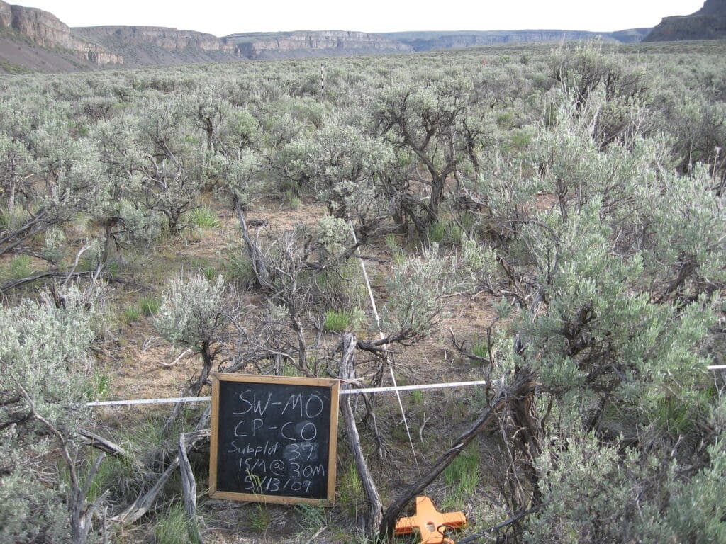 2009: 1 year post-treatment