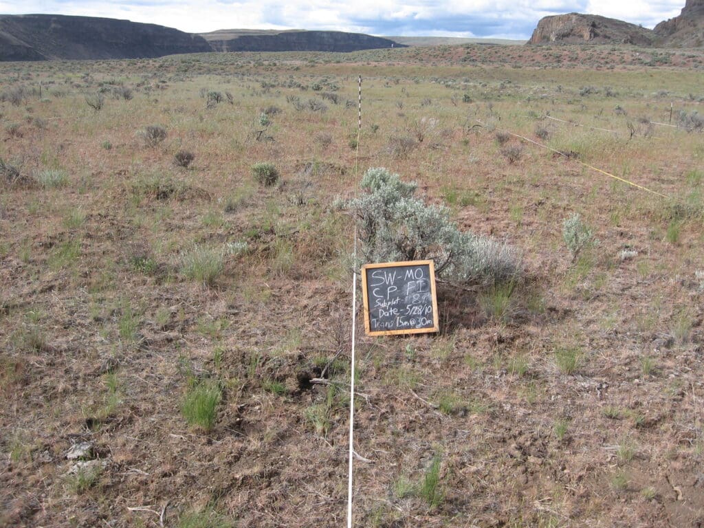 2010: 1 year post-treatment