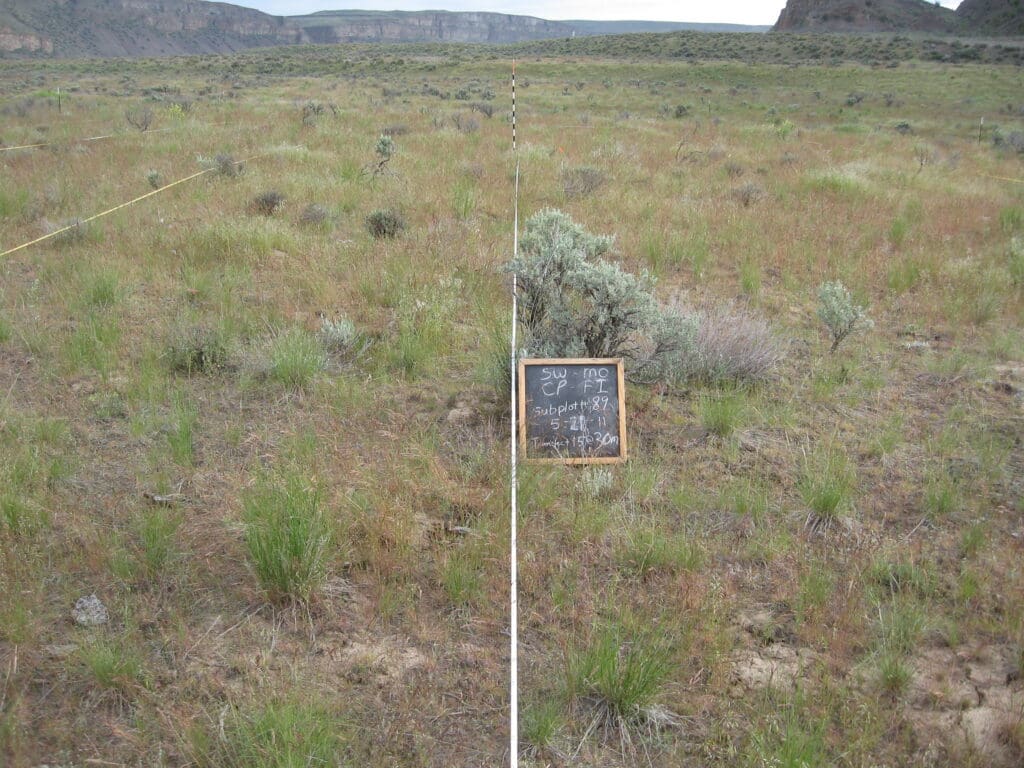 2011: 2 years post-treatment