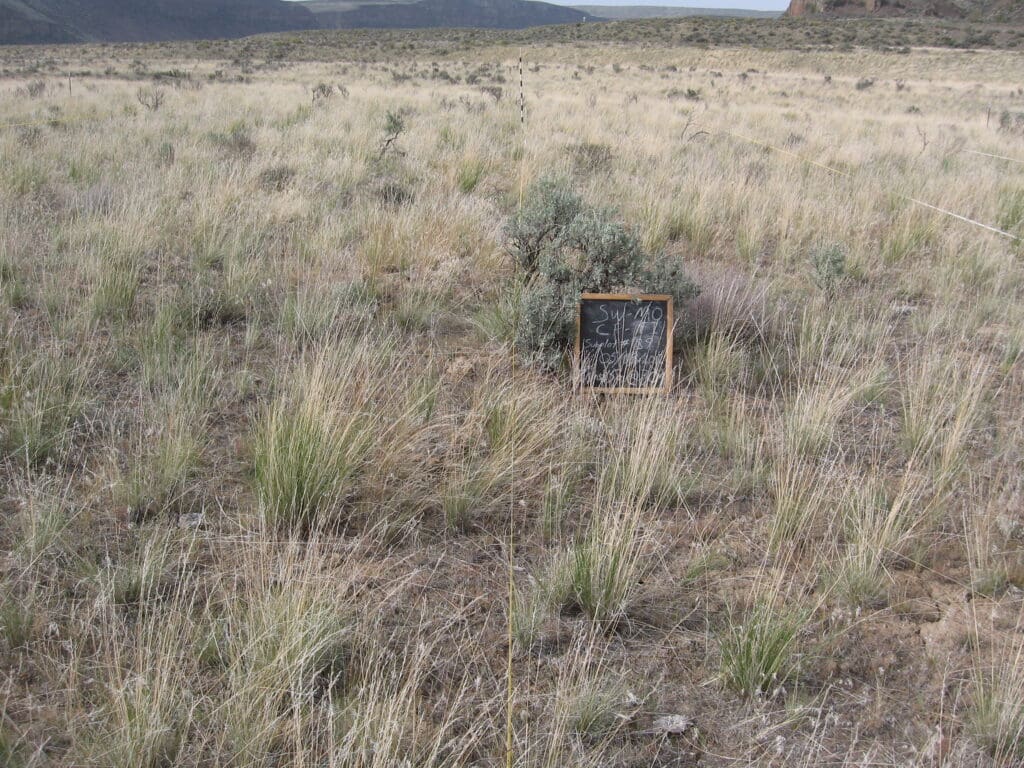 2012: 3 years post-treatment