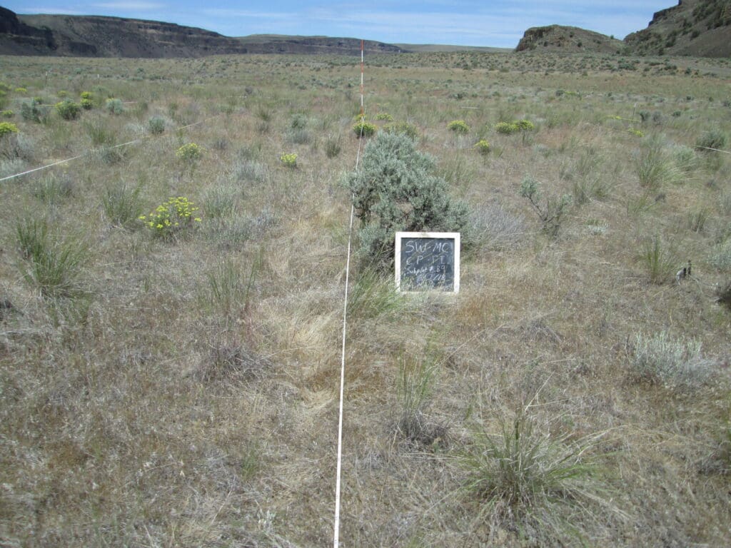 2018: 9 years post-treatment