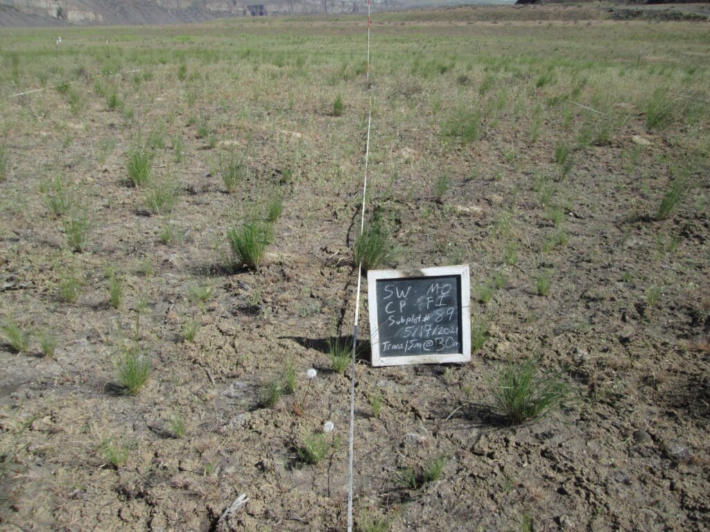 2021: 12 years post-treatment <br />
1 year post-wildfire