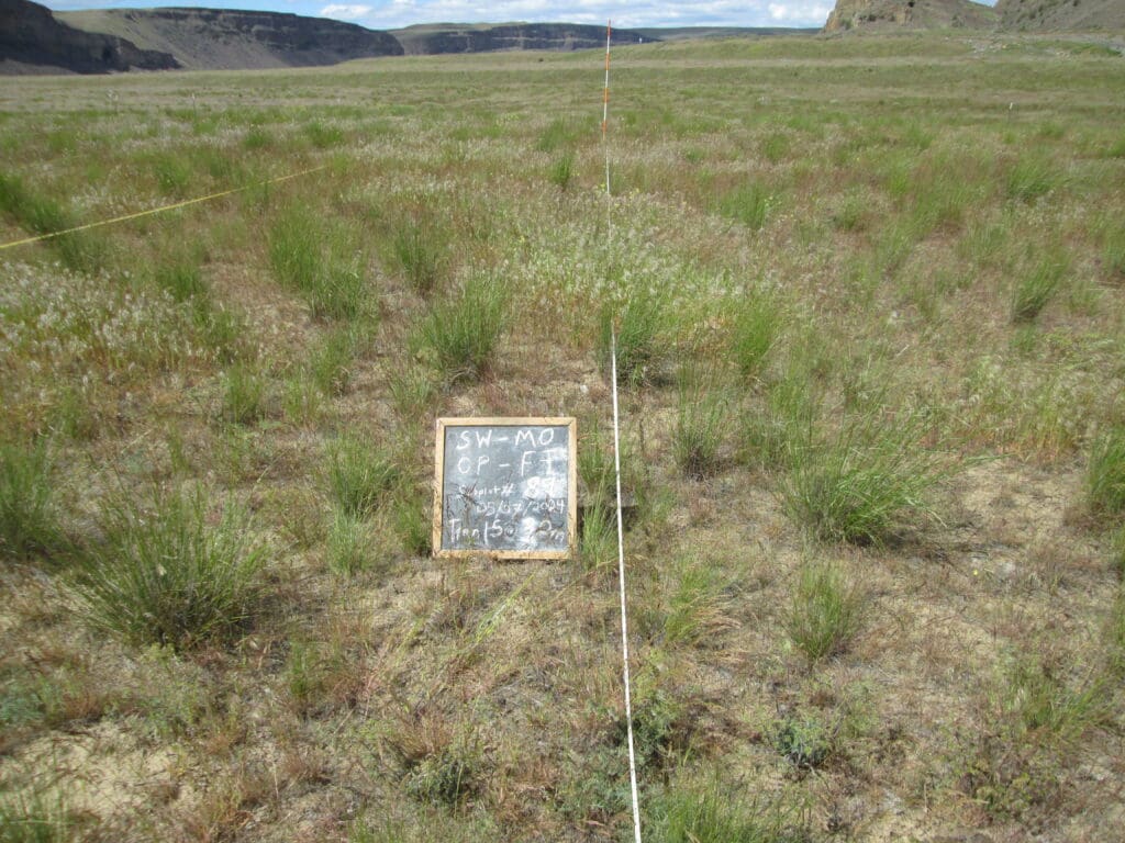 2024: 13 years post-treatment <br />
2 years post-wildfire