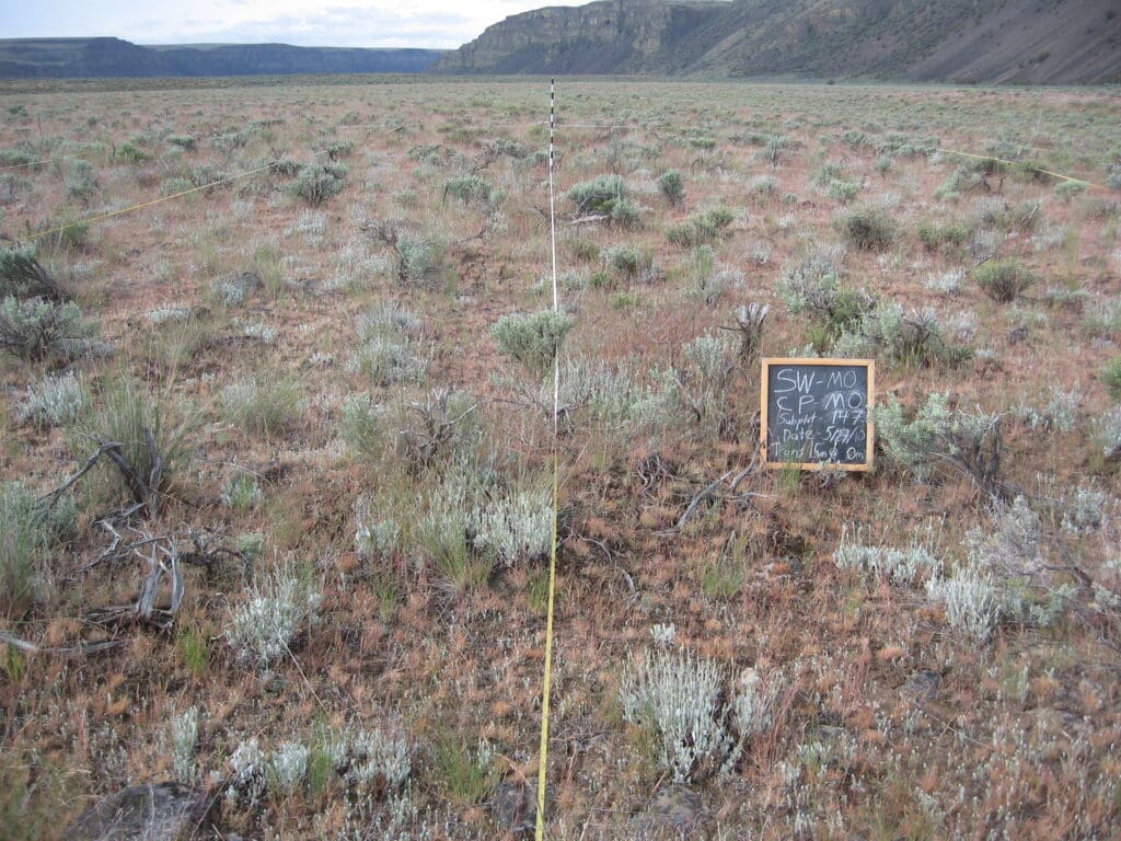 2010: 2 years post-treatment