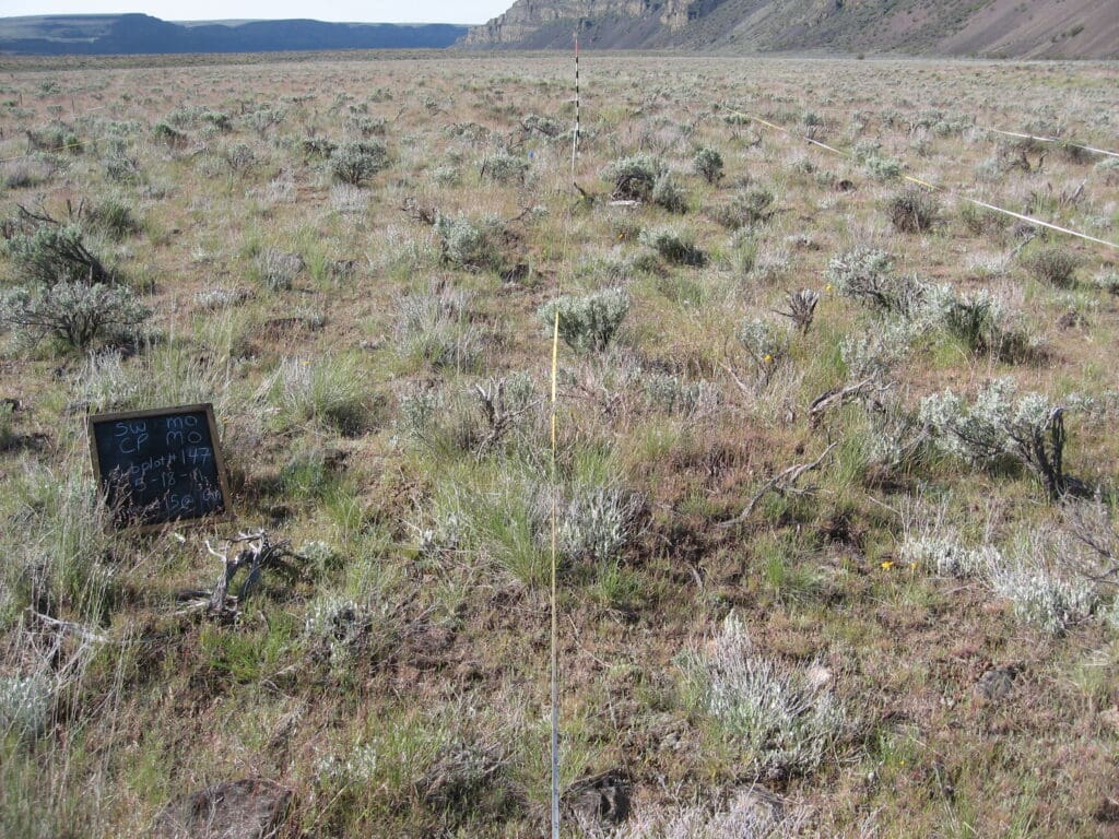 2011: 3 years post-treatment