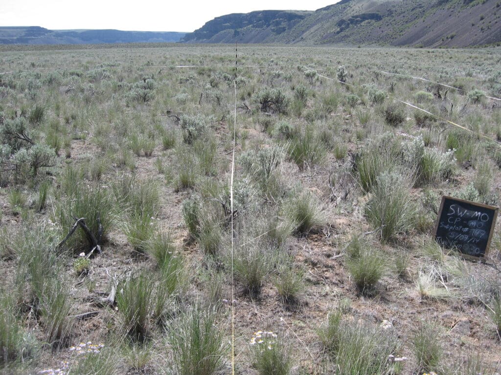 2014: 6 years post-treatment