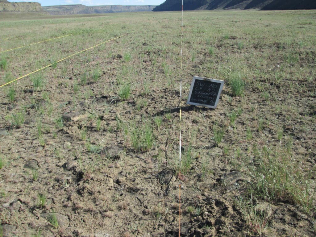 2021: 13 years post-treatment <br />
1 year post-wildfire