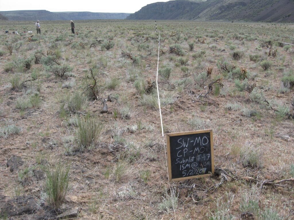 2009: 1 year post-treatment