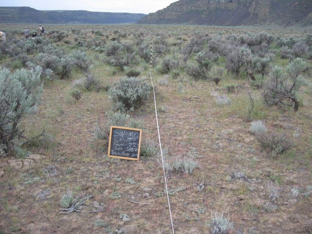 2010: 2 years post-treatment