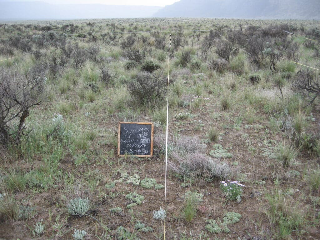 2014: 6 years post-treatment