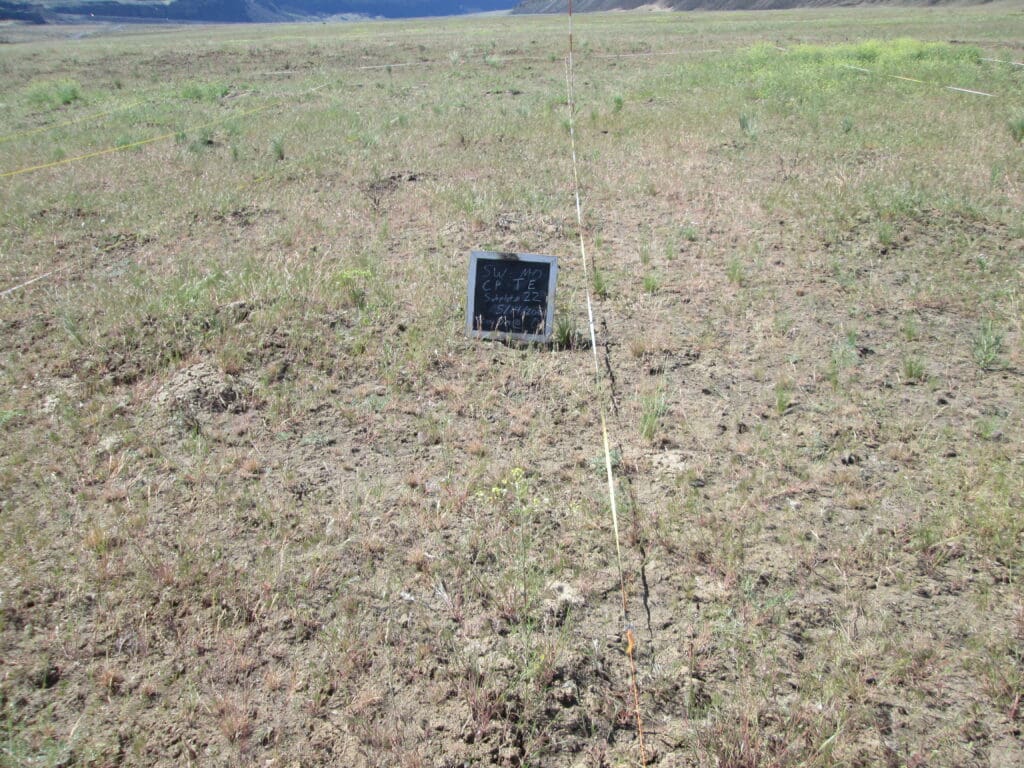 2021: 13 years post-treatment <br />
1 year post-wildfire