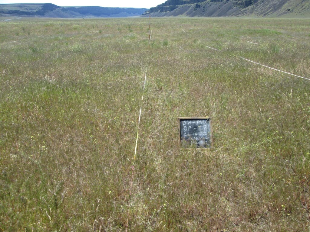 2024: 16 years post-treatment <br />
4 years post-wildfire