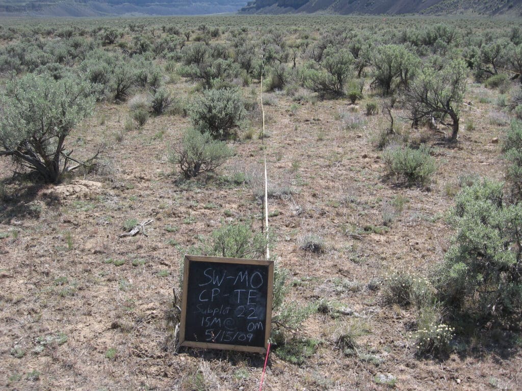 2009: 1 year post-treatment