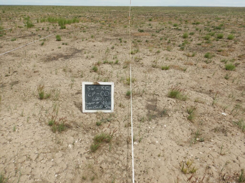 2020: 13 years post-treatment <br />
1 year post-wildfire