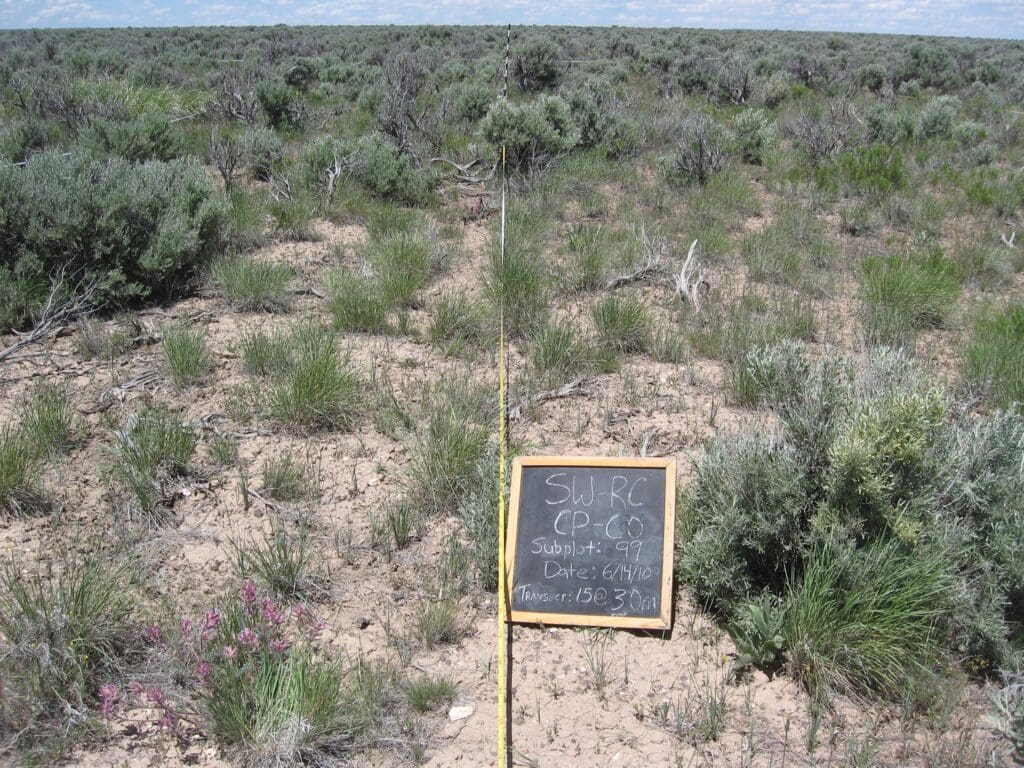 2010: 3 years post-treatment